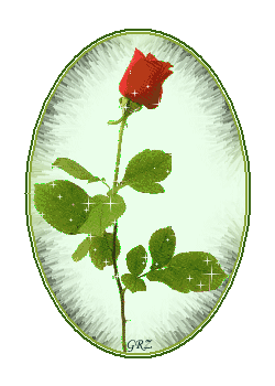 un rose seul au monde.